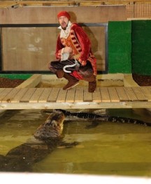 Captain Hook and Crocodile